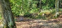 20230729_083030 (002)